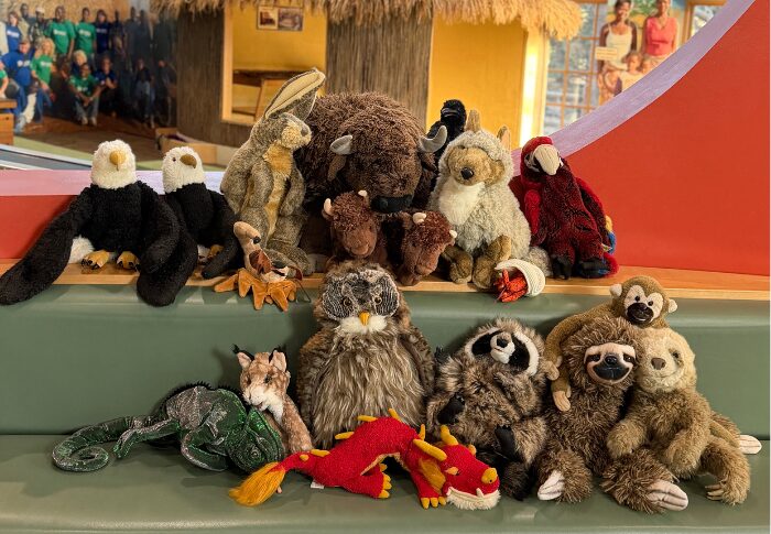 Group of loose parts sitting bench in prairie looking like posing for a family photo