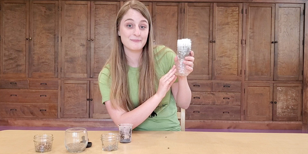 Turn muddy water into clear water with this science experiment. 