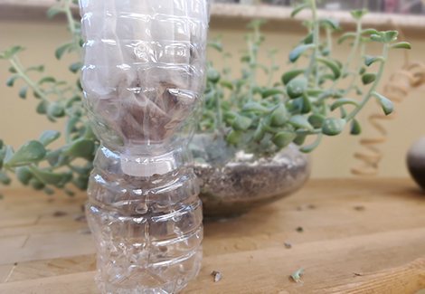 Make Your Own Water Filter
