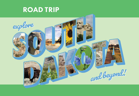 Road Trip Activities for Children (and Adults!)
