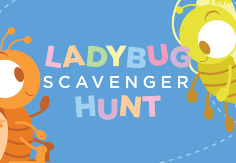 Ladybug Scavenger Hunt