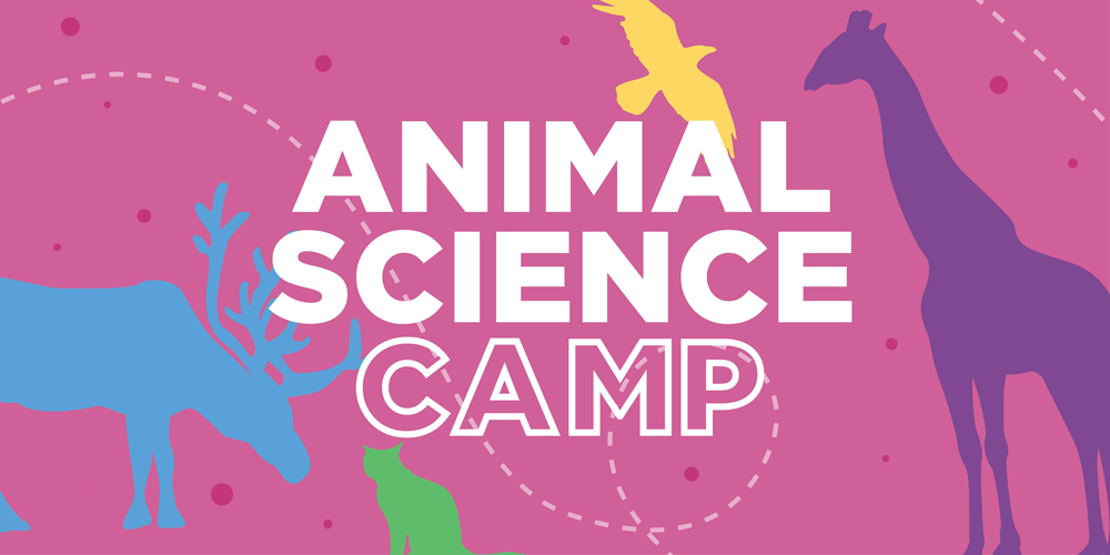 Day Camp Animal Science