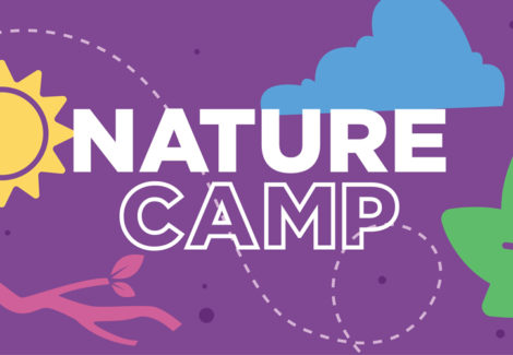 Nature Camp