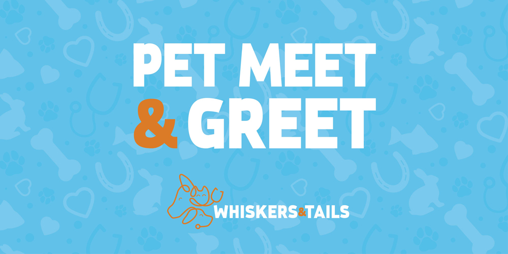 Pet Meet & Greet