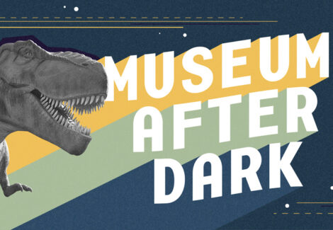 Museum After Dark