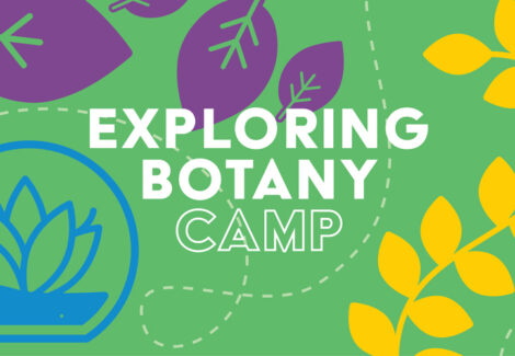Exploring Botany Camp