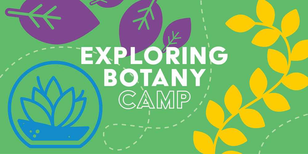 Exploring Botany Camp