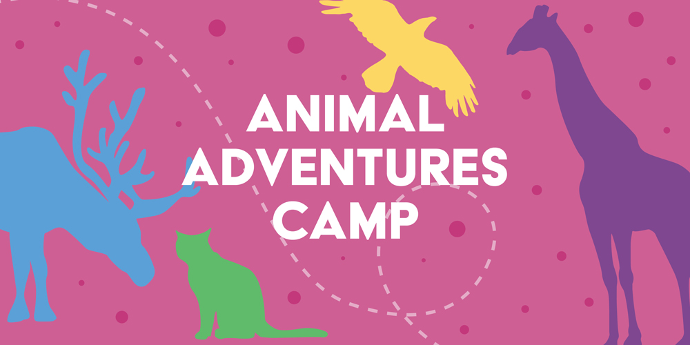 Animal Adventures Multiday Camp