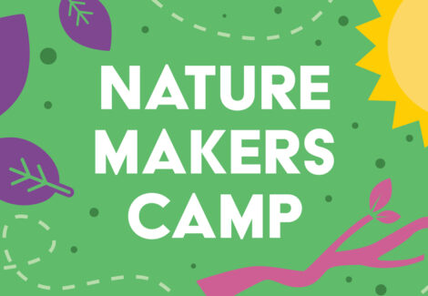 Nature Makers Day Camp