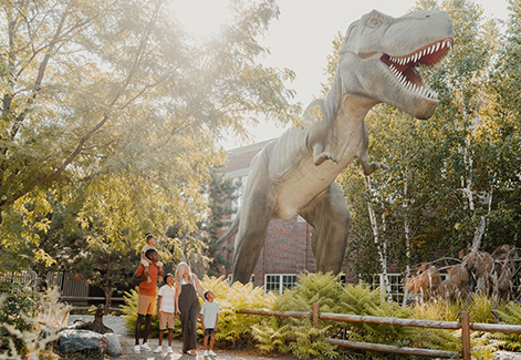 Prehistoric Facts We Can’t Stop Roaring About