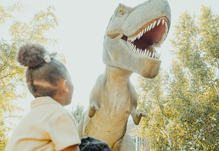 Prehistoric Facts We Can't Stop Roaring About