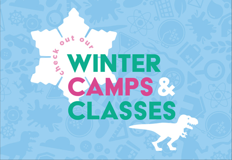 Winter Break Camps, Preschool Classes, and More!
