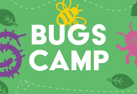 Bugs Camp