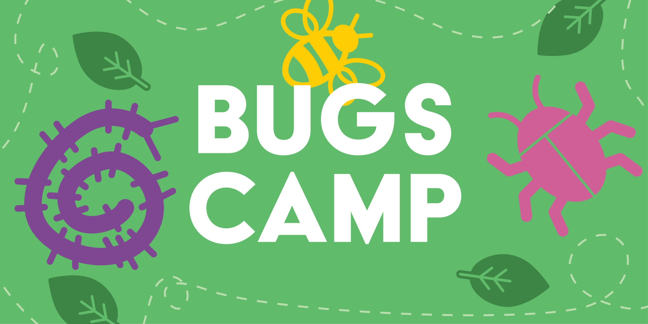 Bugs Camp graphic