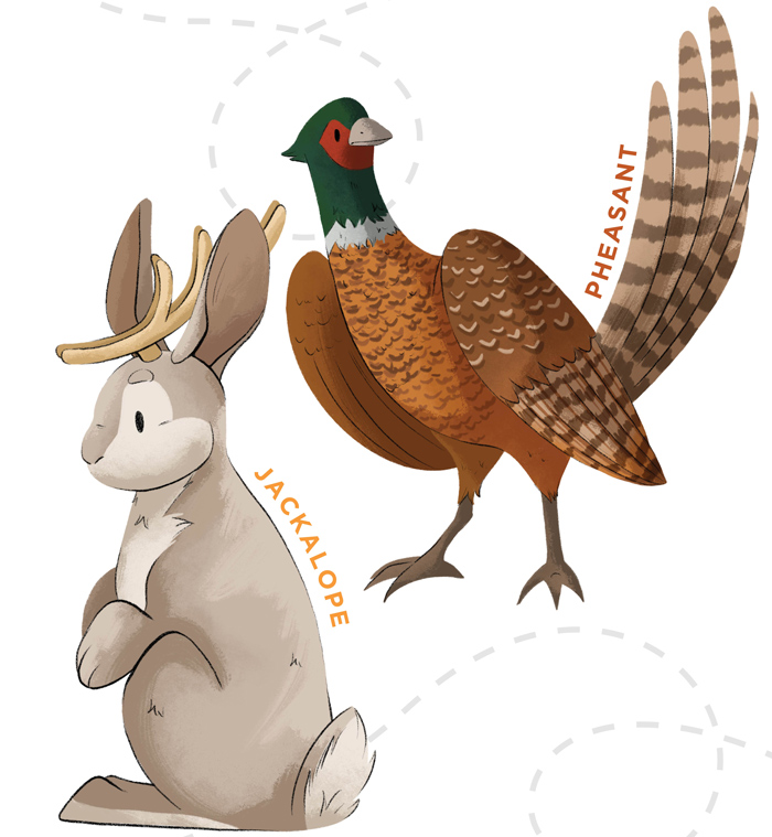 Illustration of a jackalope and a pheasant. 