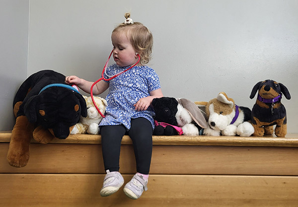 Little girl sits on a bench with a stethoscope on listening to the heartbeat of plush puppies.